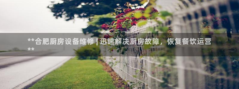 尊龙人生就是博菲律宾台子：**合肥厨房设备维修 | 迅速解决