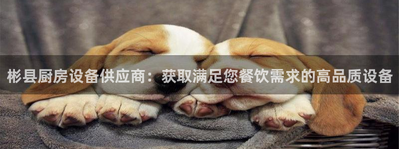 尊龙现在：彬县厨房设备供应商：获取满足您餐饮需求的高品质设备