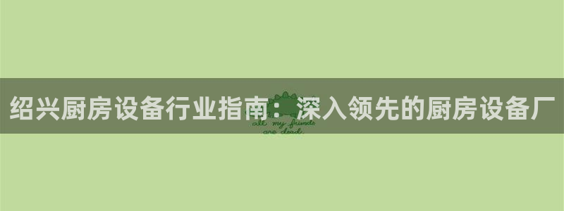 尊龙ag：绍兴厨房设备行业指南：深入领先的厨房设备厂