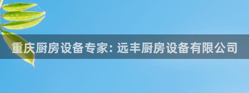 d88尊龙官网手机app：重庆厨房设备专家: 远丰厨房设备有