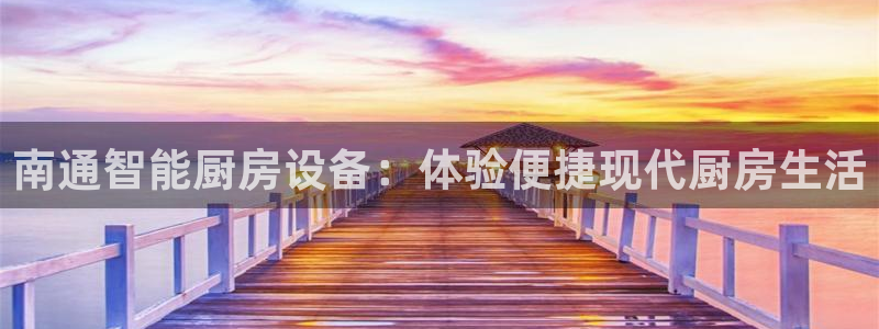 尊龙500价格：南通智能厨房设备：体验便捷现代厨房生活