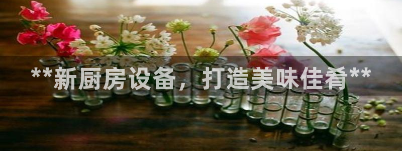 尊龙游戏官网：**新厨房设备，打造美味佳肴**