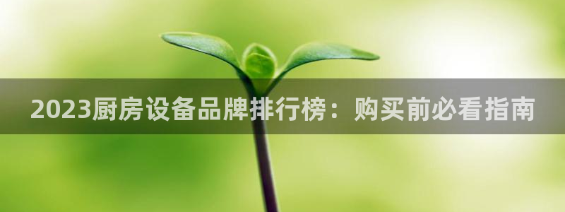 尊龙人生就是博客服：2023厨房设备品牌排行榜：购买前必看指