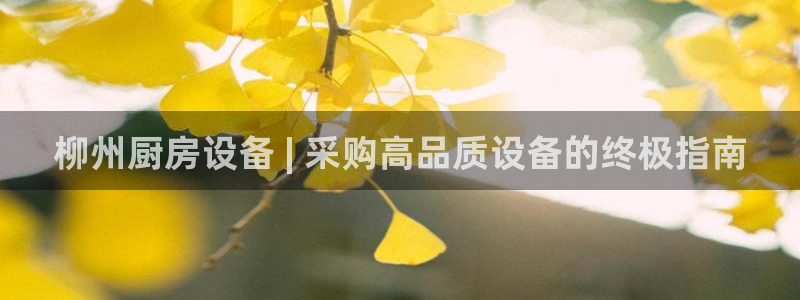 尊龙凯时输钱的原因：柳州厨房设备 | 采购高品质设备的终极指