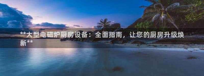 尊龙旗舰厅app：**大型电磁炉厨房设备：全面指南，让您的厨
