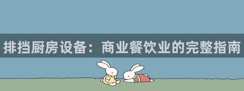 凯时国际娱乐官方网址：排挡厨房设备：商业餐饮业的完整指南