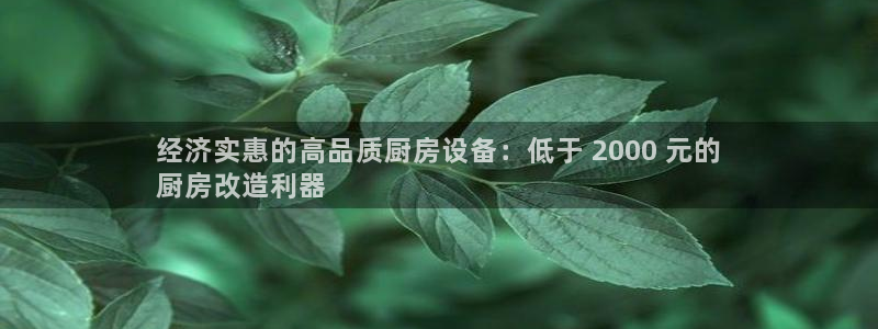 凯时赢来就送38：经济实惠的高品质厨房设备：低于 2000 