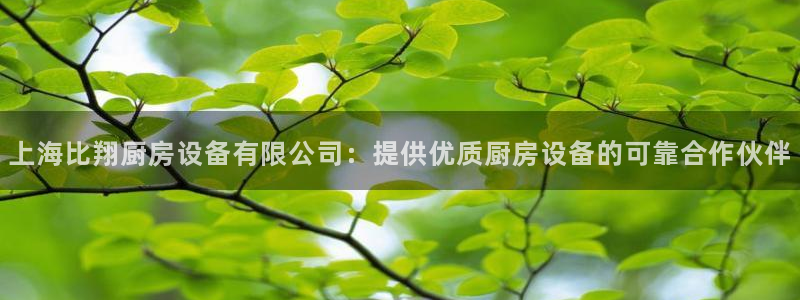 尊龙凯时平台入口：上海比翔厨房设备有限公司：提供优质厨房设备