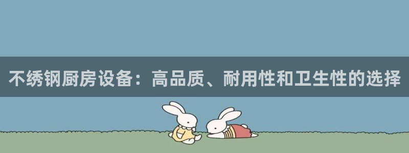 尊龙凯时人生就是搏官：不绣钢厨房设备：高品质、耐用性和卫生性