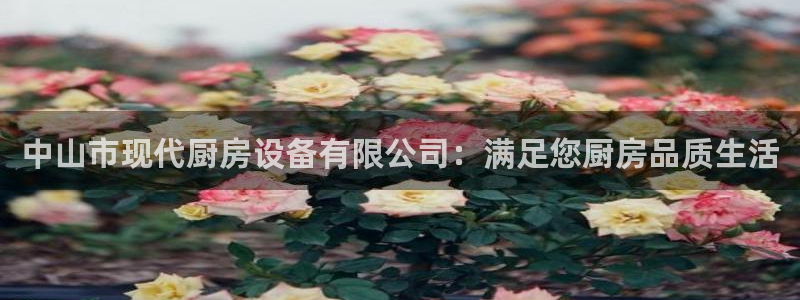 尊龙网址是选访问zd207：中山市现代厨房设备有限公司：满足