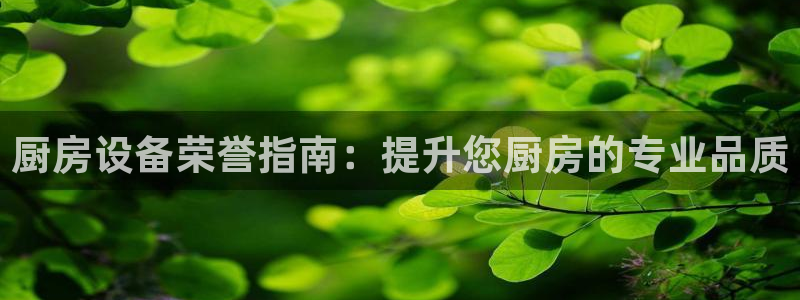 尊龙凯时推荐人：厨房设备荣誉指南：提升您厨房的专业品质