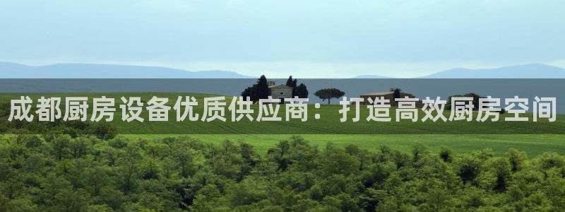 凯时官网下载客户端：成都厨房设备优质供应商：打造高效厨房空间