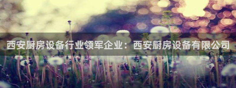 尊龙凯时一人生就是博官网：西安厨房设备行业领军企业：西安厨房