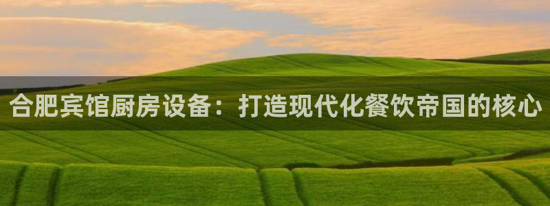 尊龙人生就是博客服：合肥宾馆厨房设备：打造现代化餐饮帝国的核