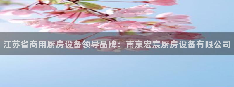 尊龙集团：江苏省商用厨房设备领导品牌：南京宏宸厨房设备有限公