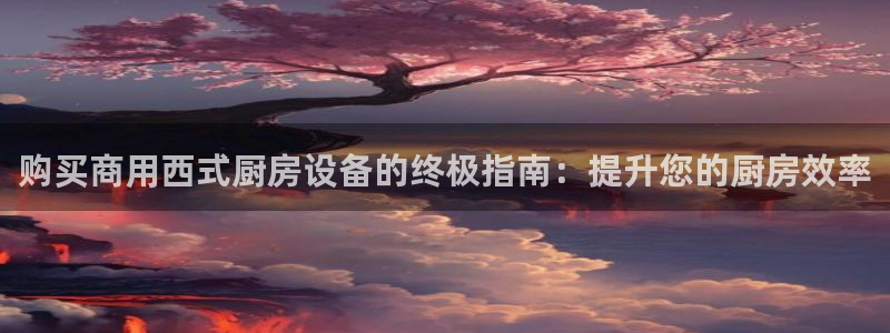 尊龙官方：购买商用西式厨房设备的终极指南：提升您的厨房效率