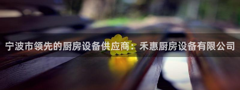 尊龙人生就是博登录首页：宁波市领先的厨房设备供应商：禾惠厨房