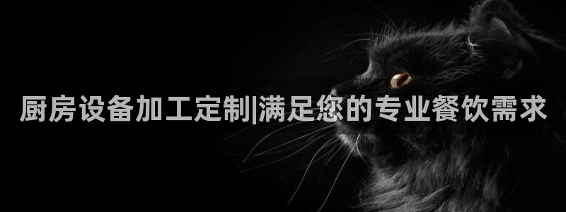 尊龙app最新版本官网：厨房设备加工定制|满足您的专业餐饮需