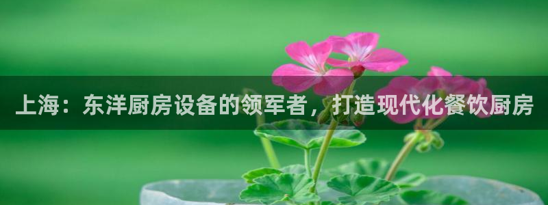 尊龙凯时百家乐手机下载：上海：东洋厨房设备的领军者，打造现代
