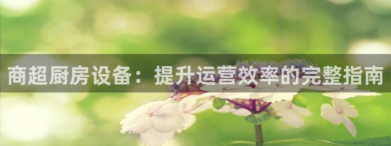 下载尊龙app：商超厨房设备：提升运营效率的完整指南