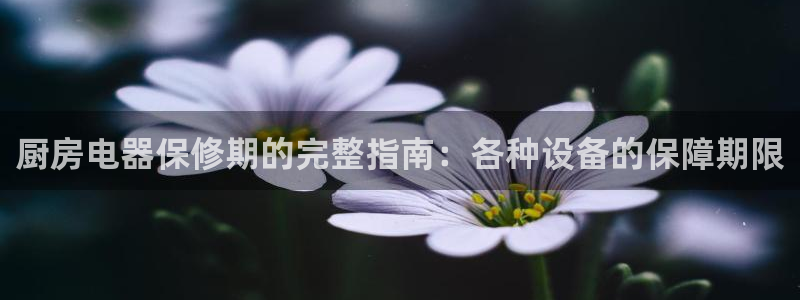 尊龙凯时旗舰厅官网：厨房电器保修期的完整