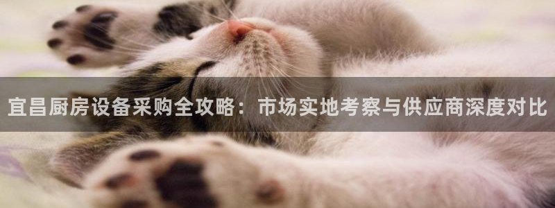 尊龙现金推荐ag发财网：