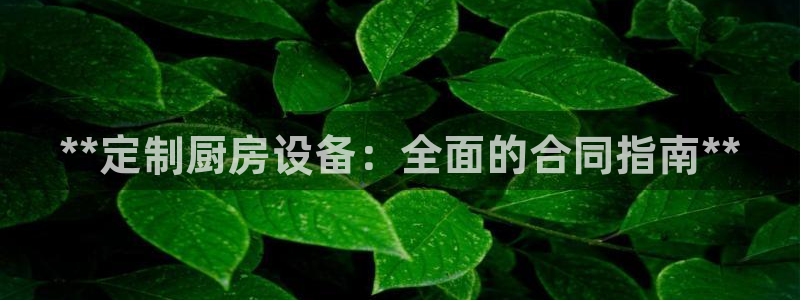尊龙凯时d5138：**定制厨房设备：全面的合同指南**