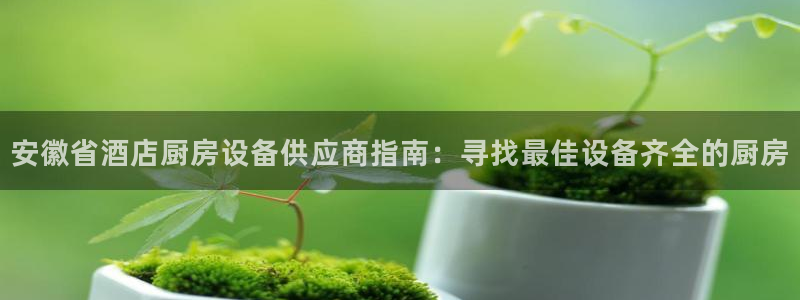 尊龙凯时的生产设备：安徽省酒店厨房设备供