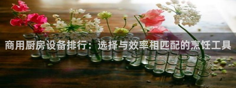 凯时效果怎么样