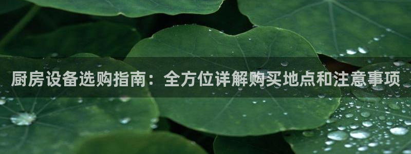 尊龙凯时ag旗舰厅官方网站：厨房设备选购指南：全方位详解购买