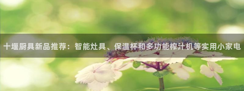 尊龙人生手机版