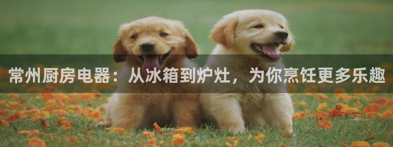 尊龙凯时代理佣金发不发