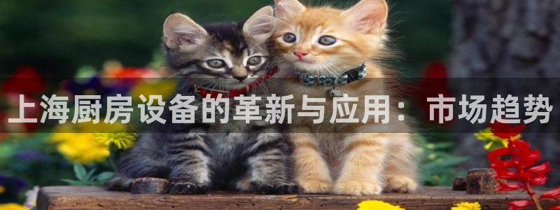 首页尊龙d88国际