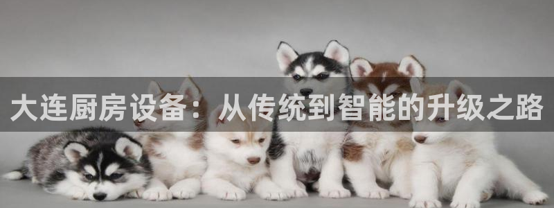 尊龙凯时网站网址