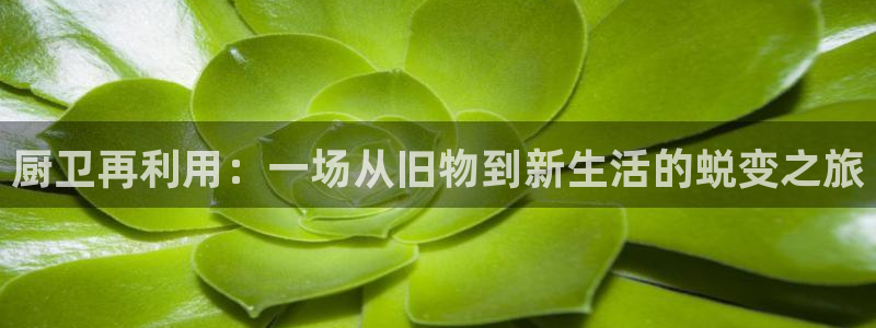 尊龙凯时 - 人生就是搏有假吗