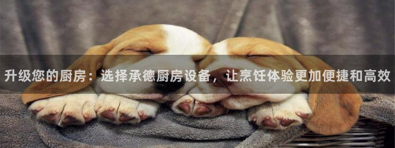 凯时k88最新