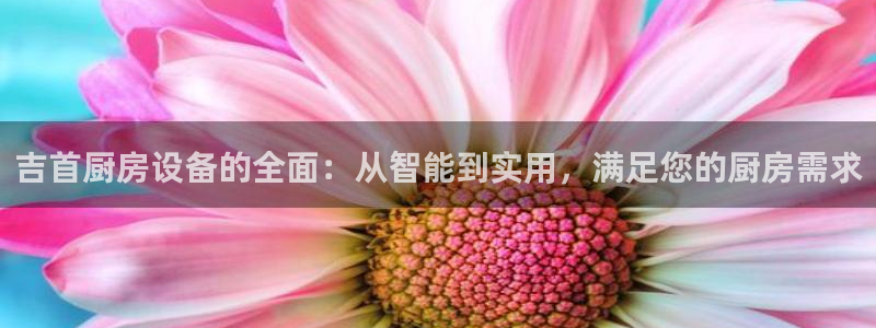尊龙凯时麻将胡了