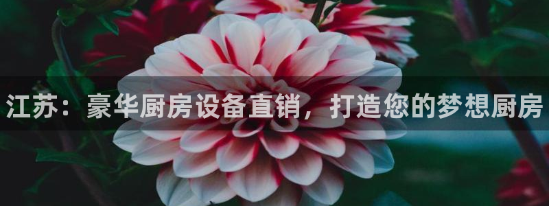尊龙凯时客服：江苏：豪华