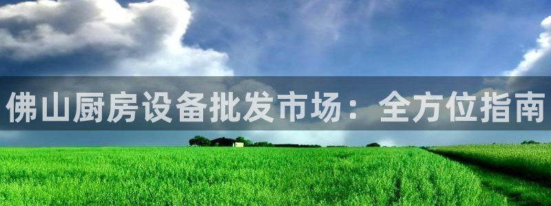 尊龙凯时登陆入口：佛山厨房设备批发市场：全方位指南