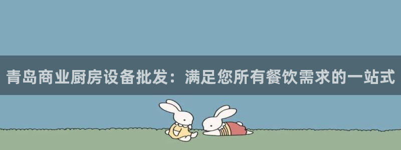 尊龙凯时是直营吗：青岛商业厨房设备批发：满足您所有餐饮需求的